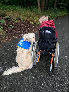 Photo d'un petit garçon en fauteuil roulant avec son handi chien